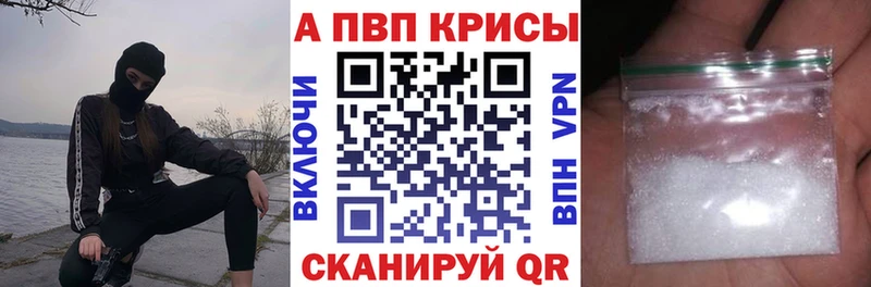 A PVP СК КРИС  Апшеронск 