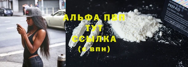 дурь Магас
