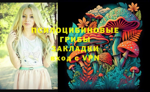 прущие крисы Алзамай